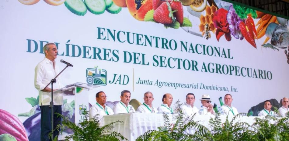 República Dominicana negocia con Estados Unidos salvaguardas para proteger la producción arrocera nacional