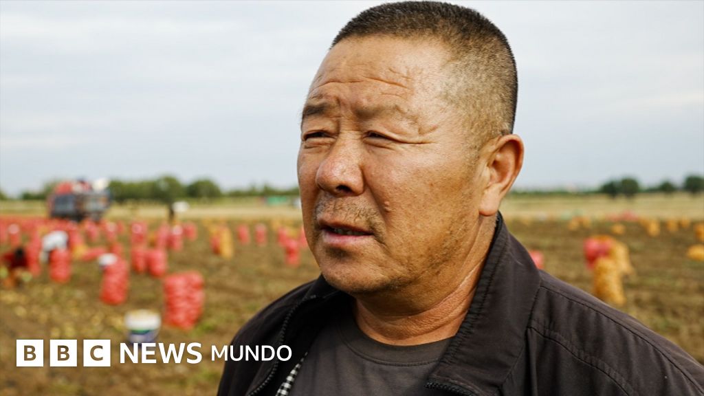 De sembradíos de papas a capital de la IA: la monumental apuesta tecnológica de China frente a Estados Unidos