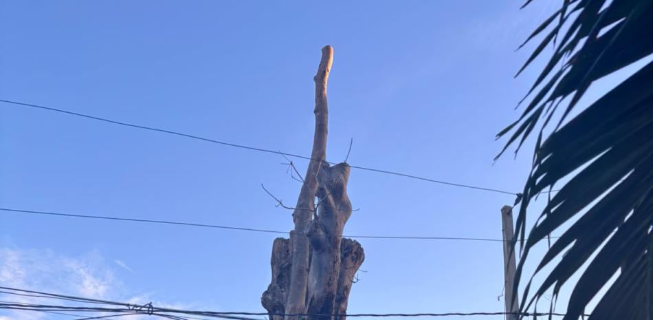 Santo Domingo bajo asfalto: Las noches calurosas se sextuplican por la pérdida de árboles en la capital