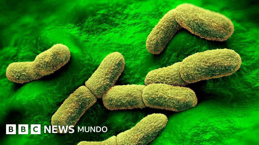 Alerta internacional tras la muerte de una científica en un laboratorio de peste en Siberia