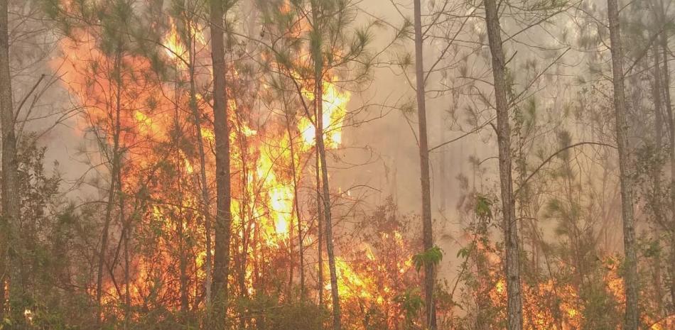 Alerta nacional por emergencia ambiental: voraces incendios forestales golpean las principales áreas protegidas del país
